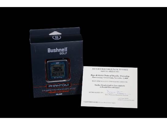 Image of the Item