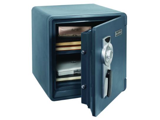 Image of the Item