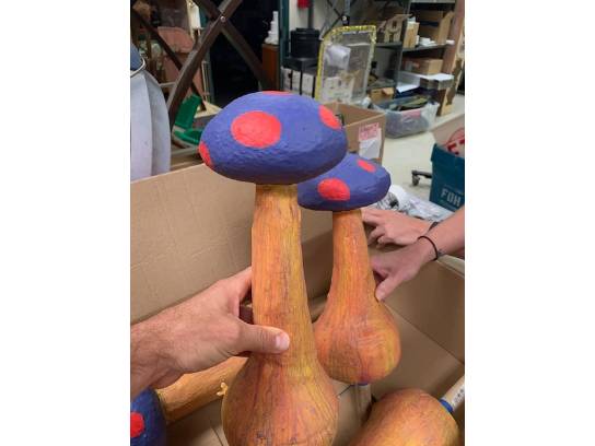 Image of the Item