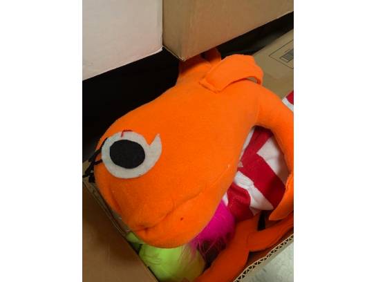 Image of the Item