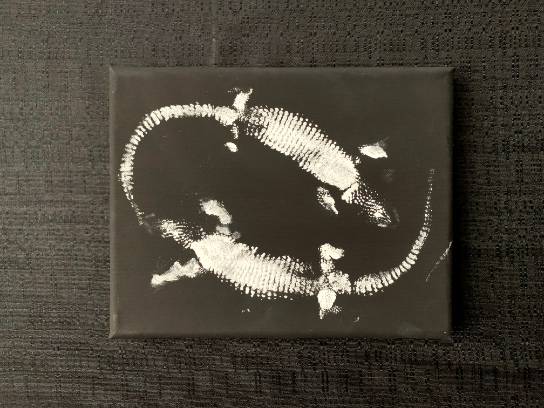 Image of the Item