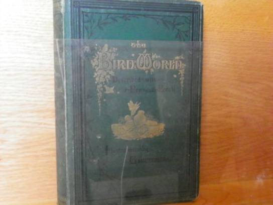 Image of the Item