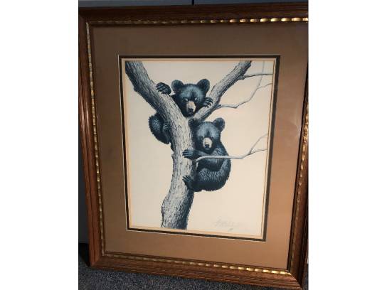 Image of the Item
