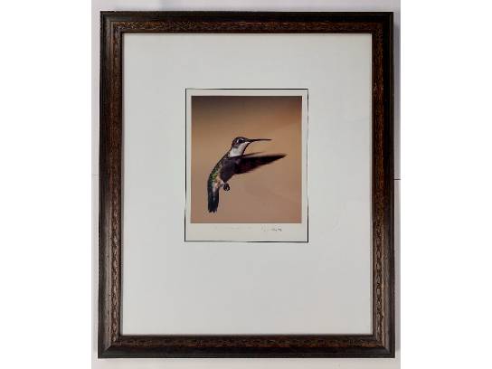 Image of the Item