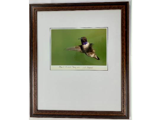 Image of the Item