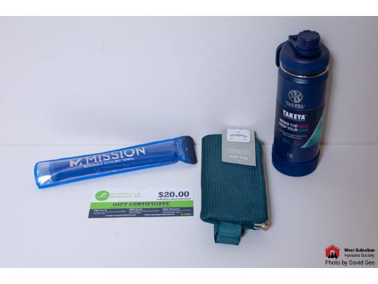 Image of the Item