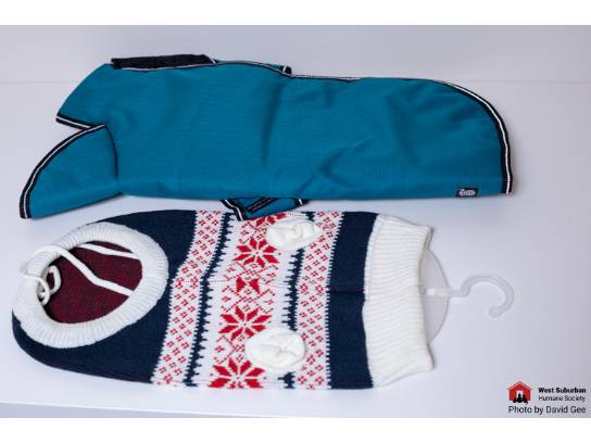 Image of the Item