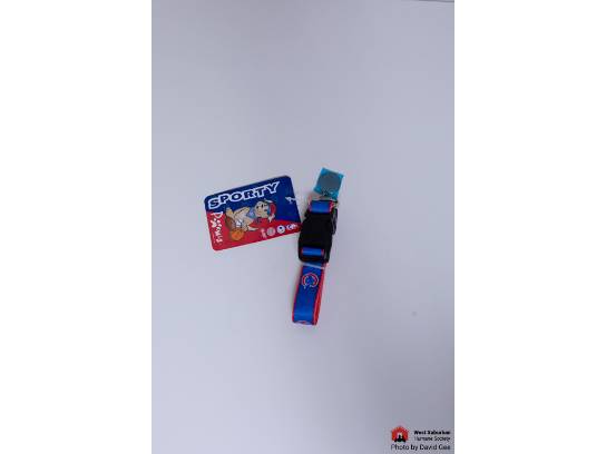 Image of the Item
