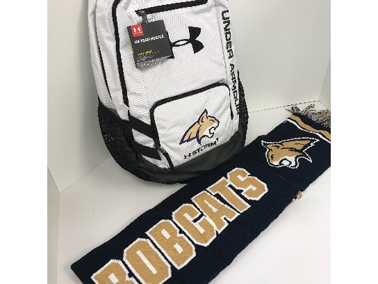 Image of the Item