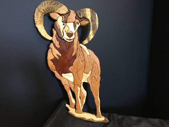 Image of the Item