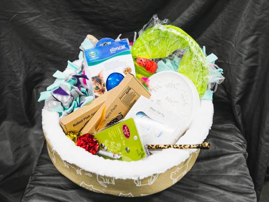 Image of the Item