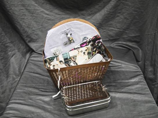 Image of the Item