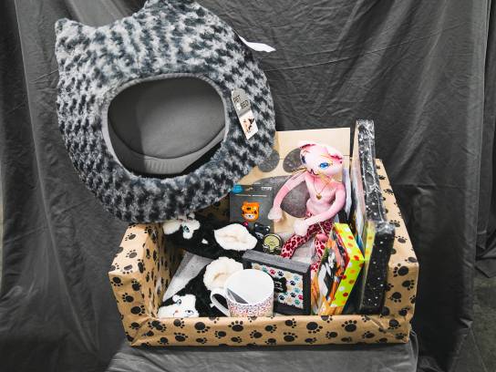 Image of the Item