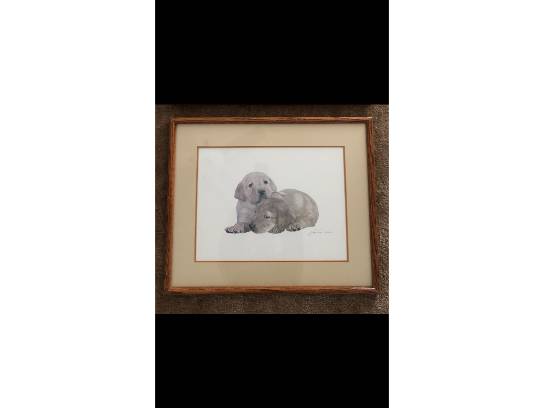 Image of the Item