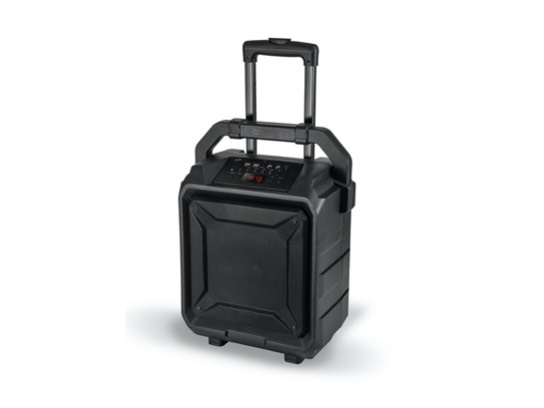 Image of the Item