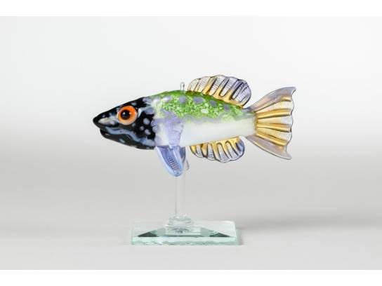 Image of the Item
