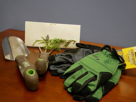 Image of the Item