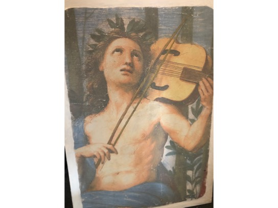 Image of the Item