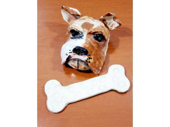 Image of the Item