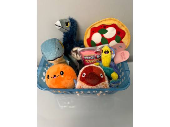 Image of the Item