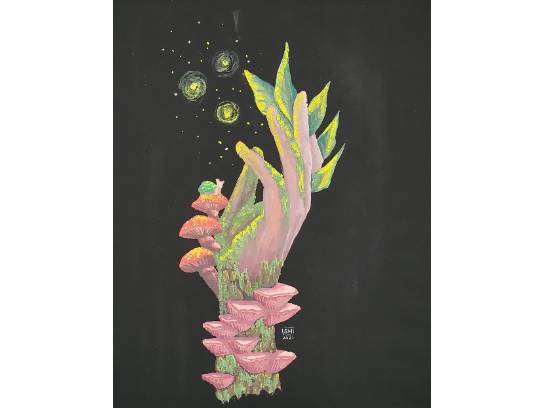 Image of the Item