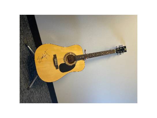 Image of the Item