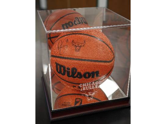 Image of the Item