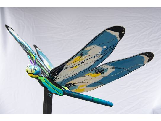 Image of the Item