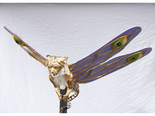 Image of the Item