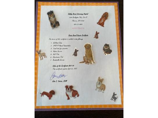 Image of the Item