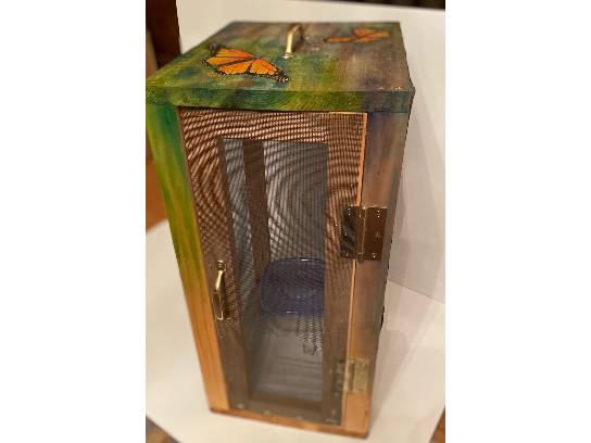 Image of the Item