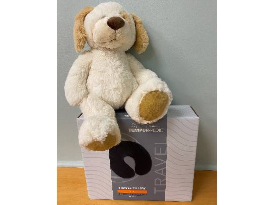 Image of the Item