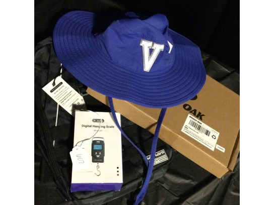 Image of the Item