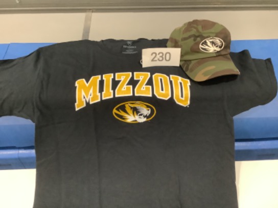Image of the Item