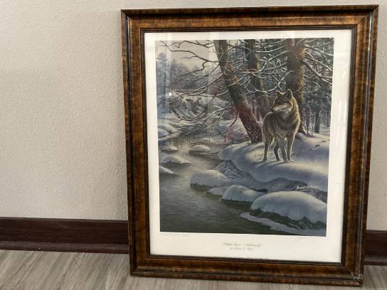 Image of the Item