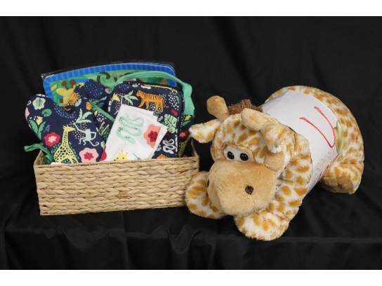 Image of the Item