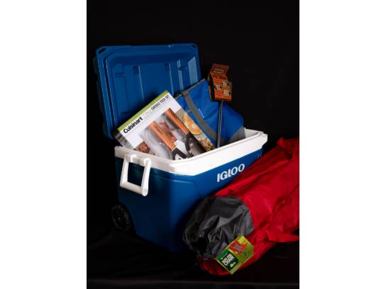 Image of the Item