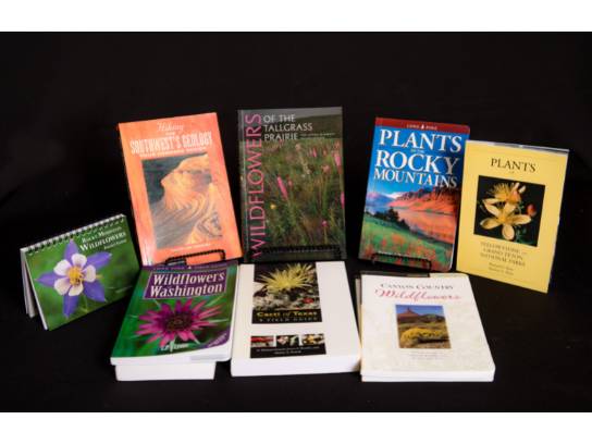 Image of the Item