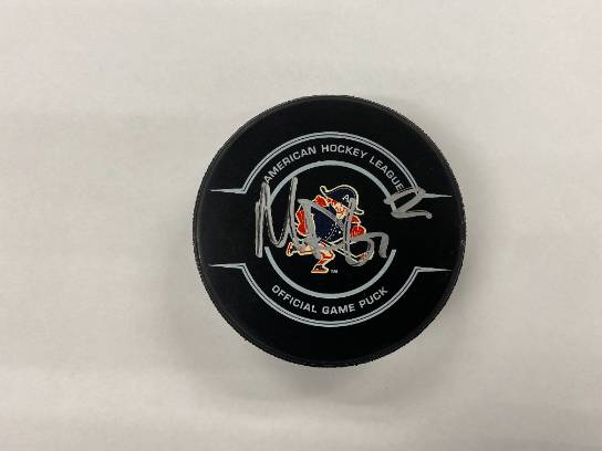 Image of the Item