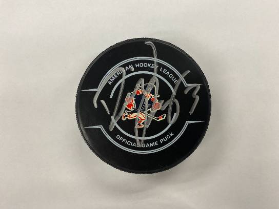Image of the Item