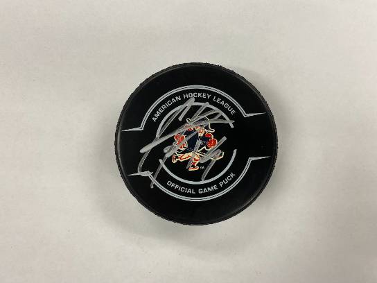 Image of the Item