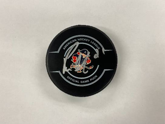Image of the Item