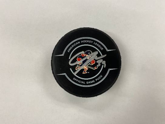 Image of the Item