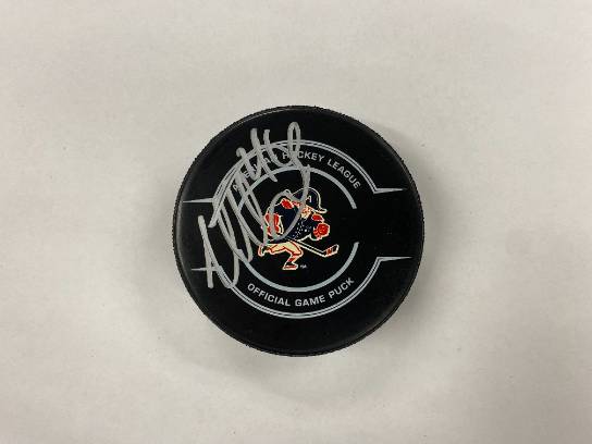 Image of the Item
