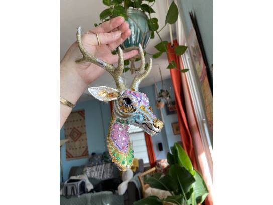 Image of the Item