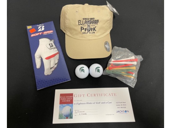 Image of the Item