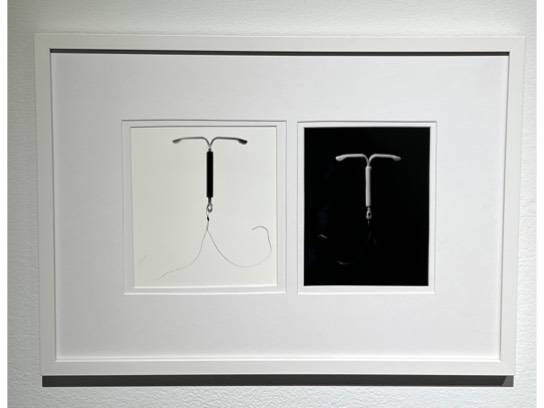 Image of the Item