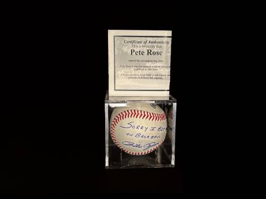 Image of the Item