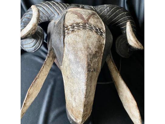 Image of the Item