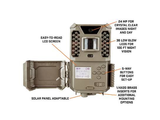 Image of the Item